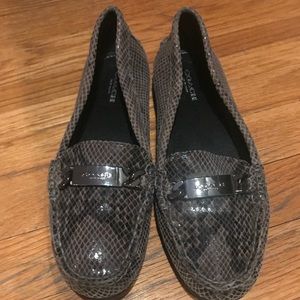 Python Coach Loafers
